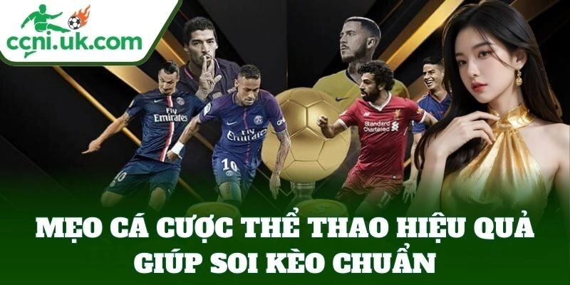 Mẹo Cá Cược Thể Thao Hiệu Quả, Chọn Kèo Sáng Dễ Trúng