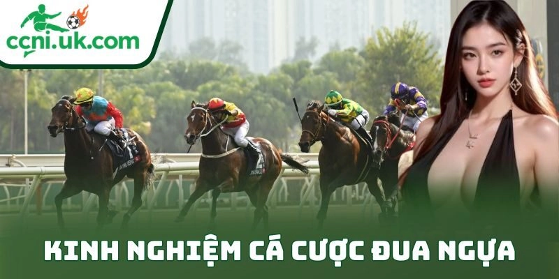 Kinh Nghiệm Cá Cược Đua Ngựa