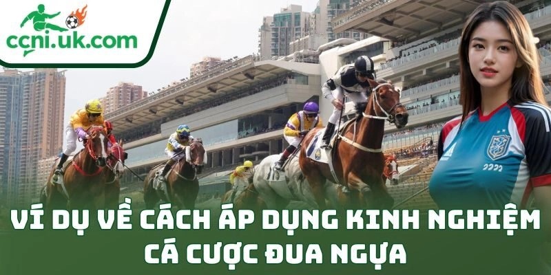 Ví dụ về cách áp dụng kinh nghiệm cá cược đua ngựa