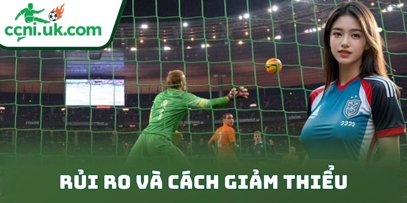 Rủi ro và cách giảm thiểu